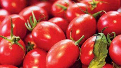 В Израиле резко подорожали помидоры, несмотря на турецкий импорт