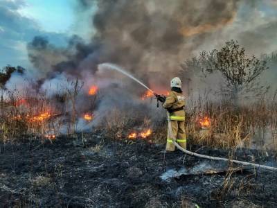 Липецкие огнеборцы тушат лесные пожары в Воронежской области