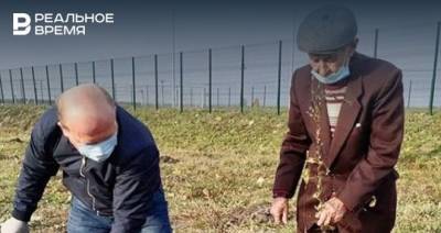 Празднование Дня учителя и яблоневый сад: новое в «Инстаграмах» глав районов Татарстана 6 октября
