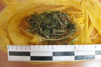 Госавтоинспекторы в Сафонове обнаружили 122 грамма «травки»