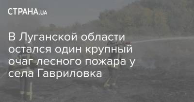 В Луганской области остался один крупный очаг лесного пожара у села Гавриловка