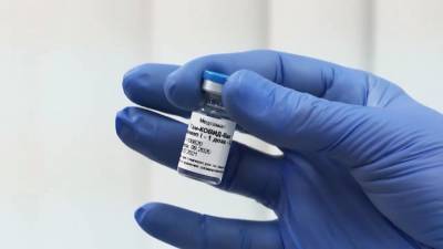 В ФАС рассказали, сколько в России будет стоить вакцина от коронавируса