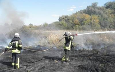 В Луганской области удалось потушить крупный очаг пожаров