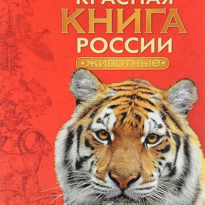 Минприроды России обновило перечень животных, занесенных в Красную книгу России