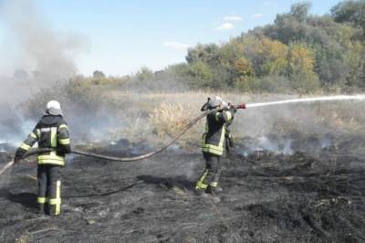 Спасатели потушили почти все масштабные очаги пожаров в Луганской области