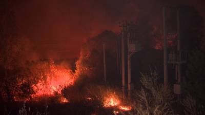 В Воронежской области ландшафтный пожар распространился на 30 га