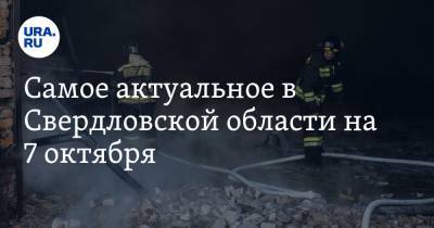 Самое актуальное в Свердловской области на 7 октября. Путин приедет в Екатеринбург, алкомаркетам запретят работать