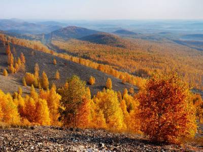Похолодает до -7: прогноз погоды в Челябинской области на среду, 7 октября