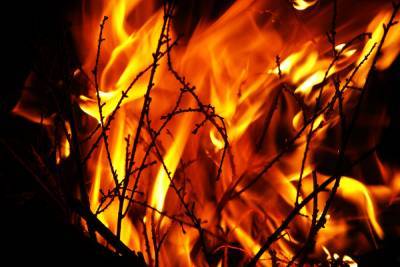 В Закаменском районе Бурятии потушили лесной пожар