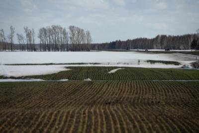 Сельхозпроизводители Хабаровского края оценили ущерб от паводка в 140 млн рублей