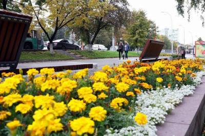В Кемерове обновили мини-скверы на проспекте Ленина