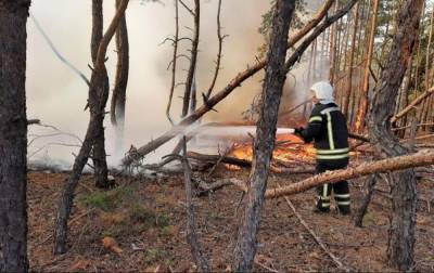 В Луганской области продолжают тушить последний очаг пожара, ветер не утихает