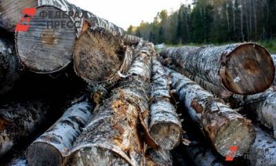 Житель Кузбасса вырубил леса на 16,5 миллиона