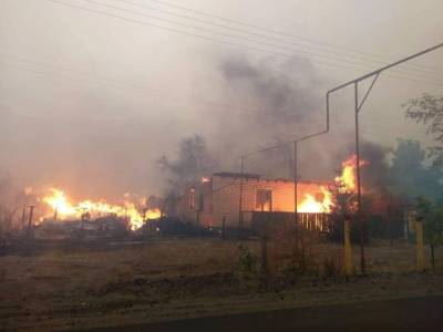 В Луганской области ликвидировали девять из 10 основных очагов пожаров лесных массивов – ГСЧС