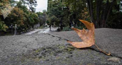 Точный прогноз погоды в Тбилиси на пятницу, 9 октября