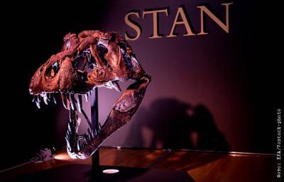 Скелет тираннозавра продали на торгах Christie’s за рекордные $32 млн