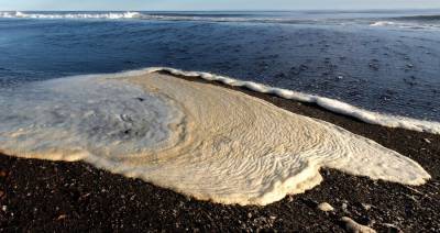 Генпрокуратура сообщила, что на Халактырском пляже на Камчатке ядовитых веществ нет