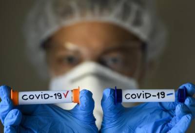 За последние сутки коронавирус нашли у еще 11 115 россиян