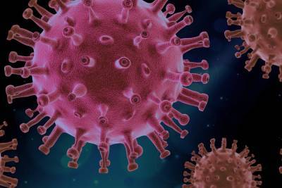 Стало известно, сколько коронавирус живет на коже человека