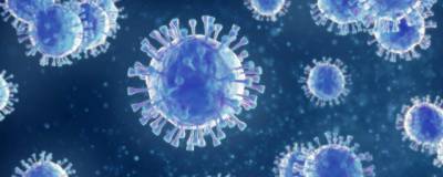 За последние сутки в России выявлены 11 115 заразившихся коронавирусом