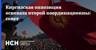 Киргизская оппозиция основала второй координационный совет