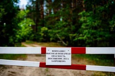 Жителям Серпухова запретили ходить в лес