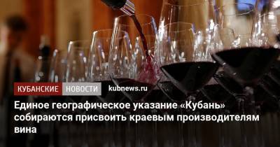 Единое географическое указание «Кубань» собираются присвоить краевым производителям вина