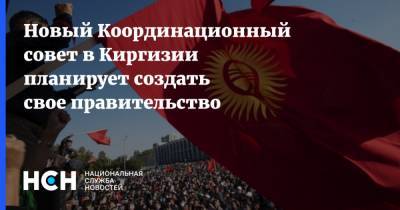 Новый Координационный совет в Киргизии планирует создать свое правительство