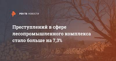Преступлений в сфере лесопромышленного комплекса стало больше на 7,3%