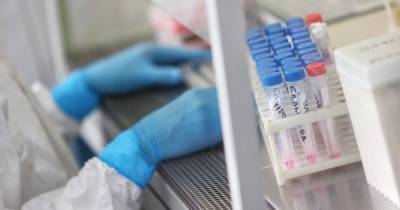 В калининградском оперштабе прокомментировали новые случаи коронавируса
