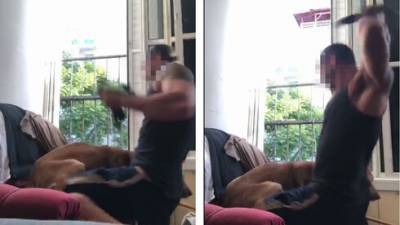 Шок в Бат-Яме: репатриант избил собаку ремнем и выставил видео в соцсеть