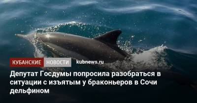 Депутат Госдумы попросила разобраться в ситуации с изъятым у браконьеров в Сочи дельфином