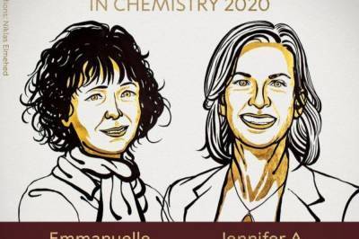 Нобелевскую премию по химии присудили за "редактирование ДНК"