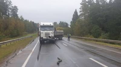 В Шкловском районе грузовик с полуприцепом при обгоне столкнулся с трактором