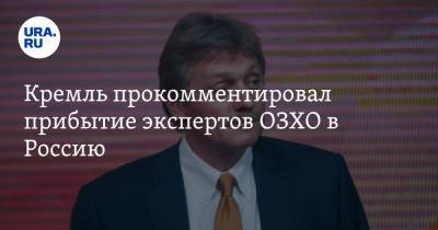 Кремль прокомментировал прибытие экспертов ОЗХО в Россию