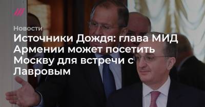 Источники Дождя: глава МИД Армении может посетить Москву для встречи с Лавровым