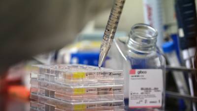 В Удмуртии за сутки коронавирус выявлен у 117 человек