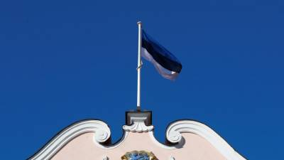 Эстония отзывает посла из Белоруссии для консультаций