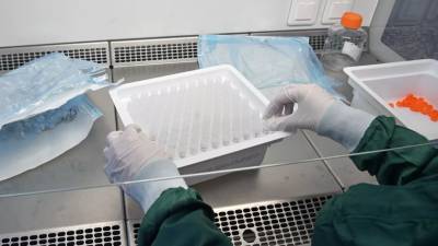 В Приморье выявили 80 случаев заболевания коронавирусом за сутки