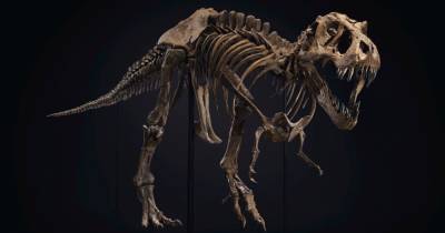 Скелет тираннозавра был продан по рекордной цене в $32 млн