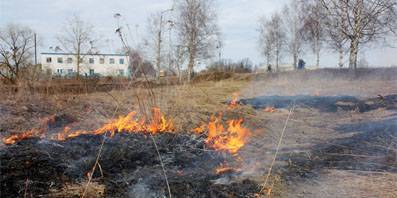 За сутки пожарные ликвидировали 30 возгораний сухой травы