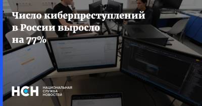 Число киберпреступлений в России выросло на 77%