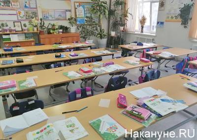 Екатеринбургская гимназия №2 срочно закрывается на карантин. Но не из-за коронавируса