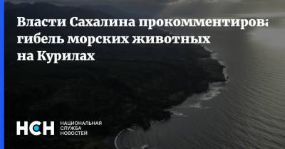 Власти Сахалина прокомментировали гибель морских животных на Курилах