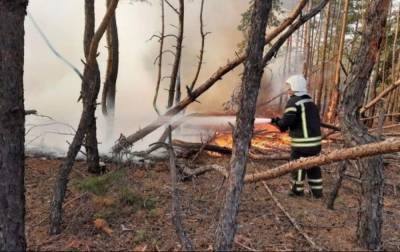 Из-за пожаров в Луганской области полицейские открыли уже 11 уголовных дел