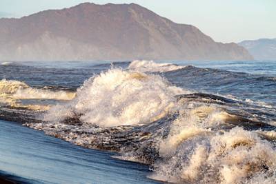 Океанолог назвал сроки восстановления экосистемы на Камчатке