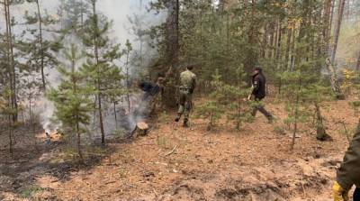 Пожары в Луганской области: полиция открыла уже 14 дел