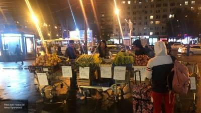 Петербургский ЗакС поддержал ужесточение наказания для уличных торговцев