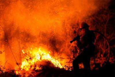 В Калифорнии зафиксировали крупнейший по площади пожар в истории штата