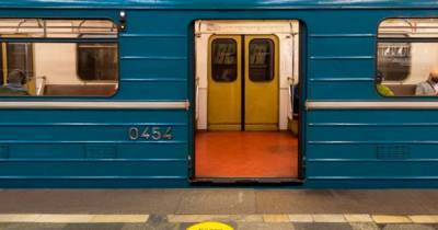 Москвич в одиночку обезвредил угрожавшего девушке ножом пассажира метро